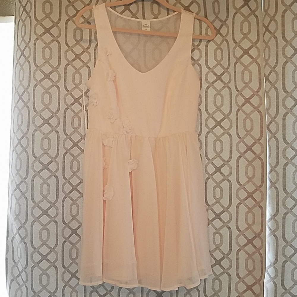 Lauren Conrad Disney Cinderella dress